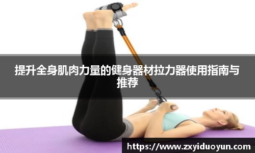 提升全身肌肉力量的健身器材拉力器使用指南与推荐